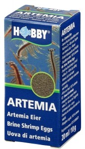 hobby artemia ei